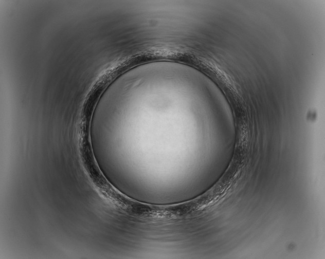 X0000099420736200805301407