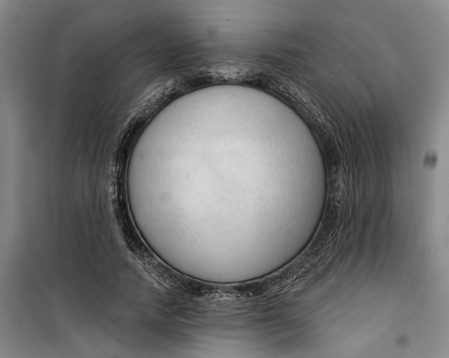 X0000099420738200805301407