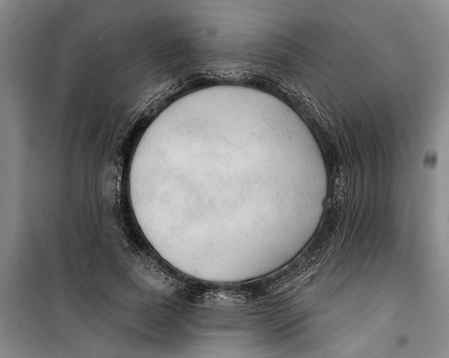 X0000099420739200805301407