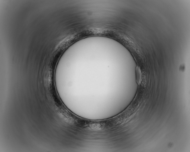 X0000099420740200805301407