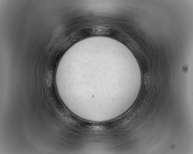 X0000099420741200805301407