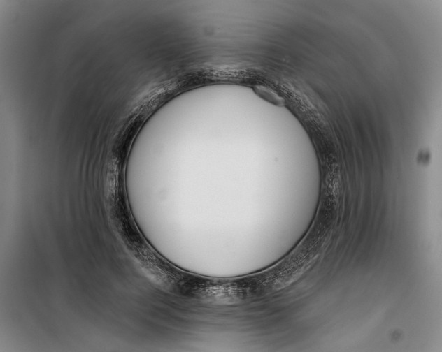 X0000099420744200805301407