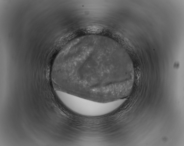 X0000099420745200805301407