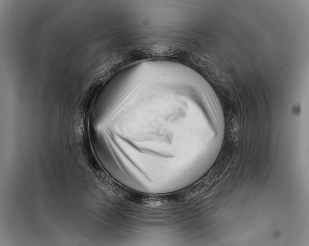 X0000099420746200805301407