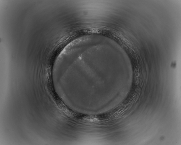 X0000099420747200805301407