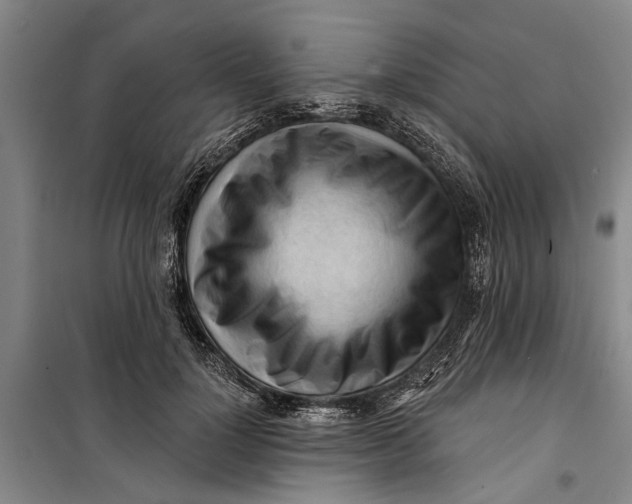 X0000099420748200805301407