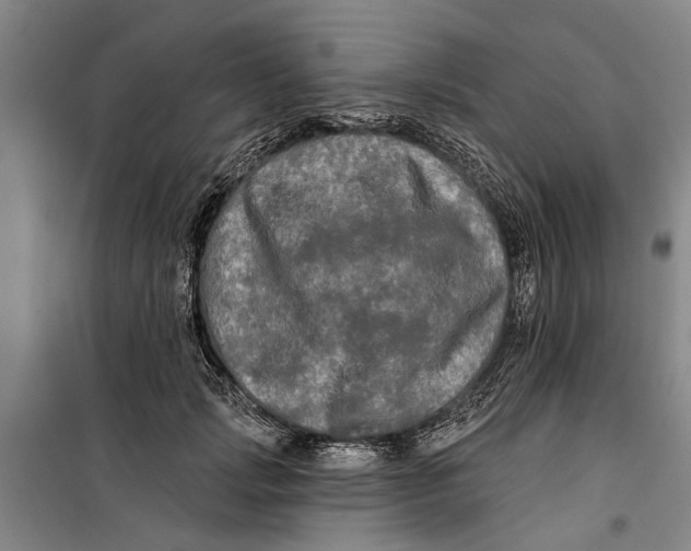 X0000099420749200805301407