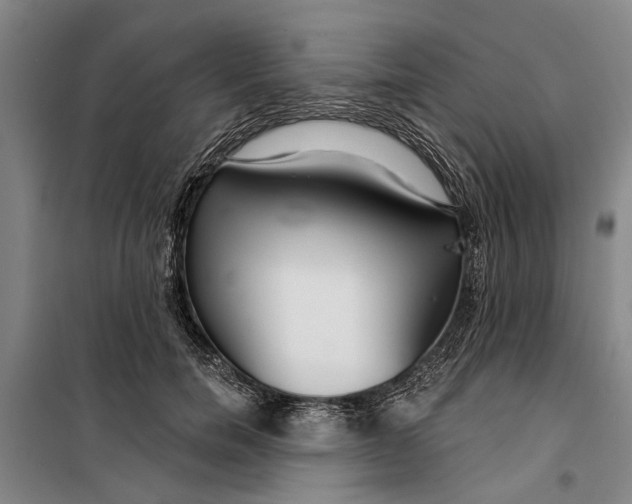 X0000099420750200805301407