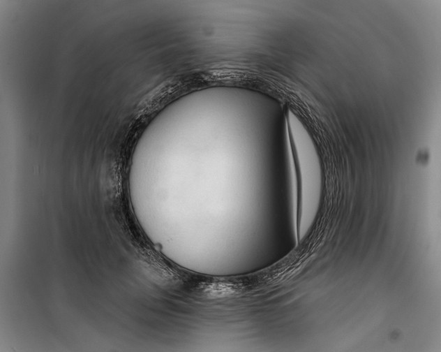 X0000099420751200805301407