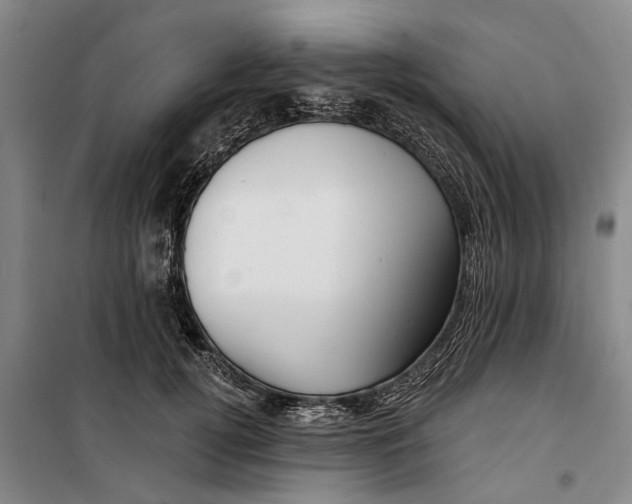 X0000099420752200805301407