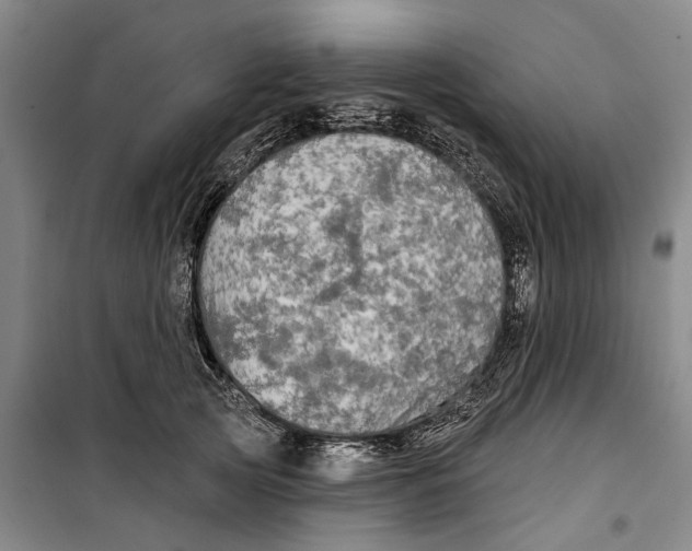 X0000099420753200805301407