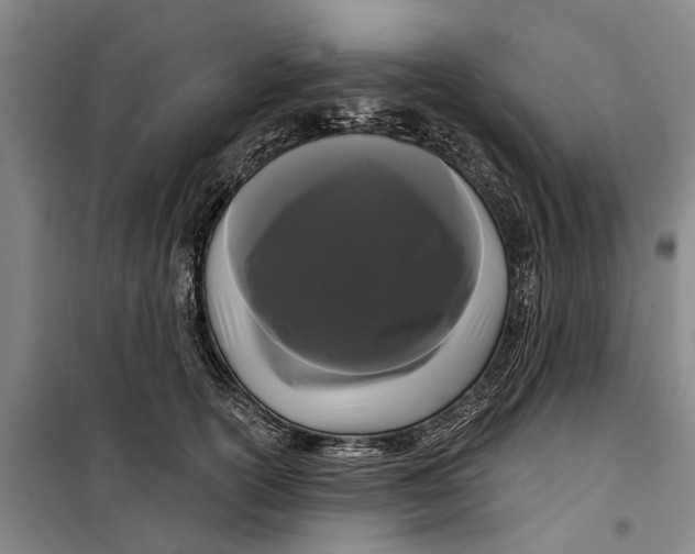 X0000099420754200805301407