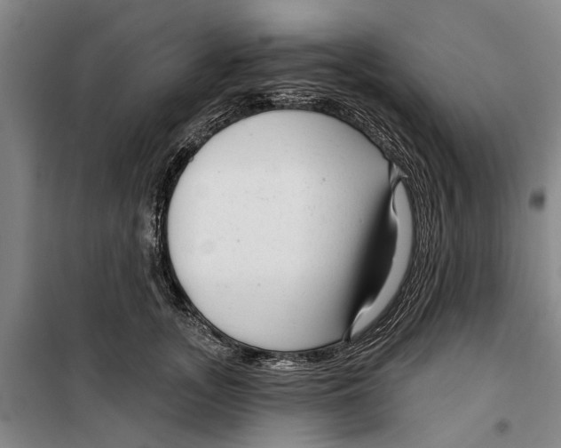 X0000099420755200805301407