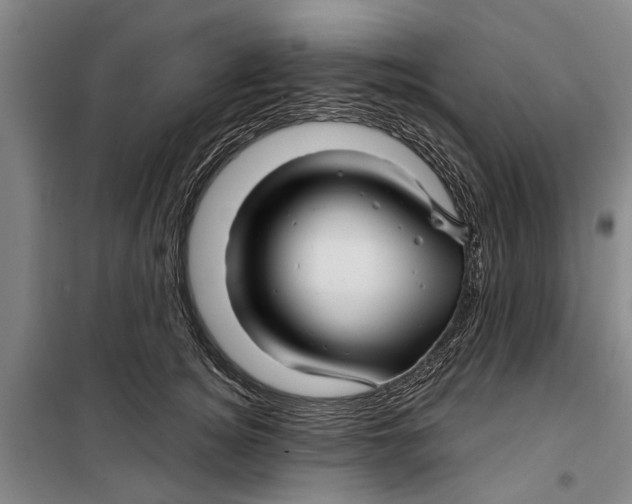 X0000099420756200805301407