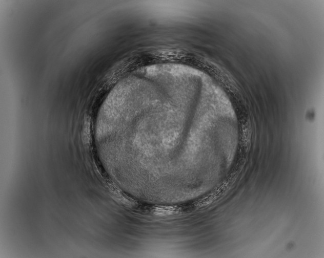 X0000099420757200805301407