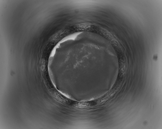 X0000099420758200805301407