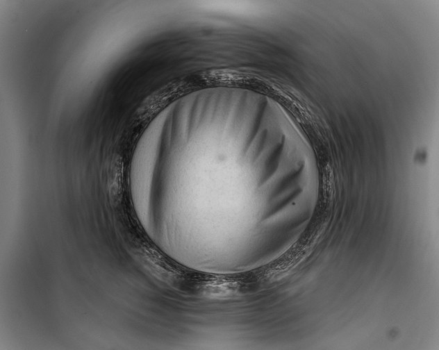 X0000099420760200805301407