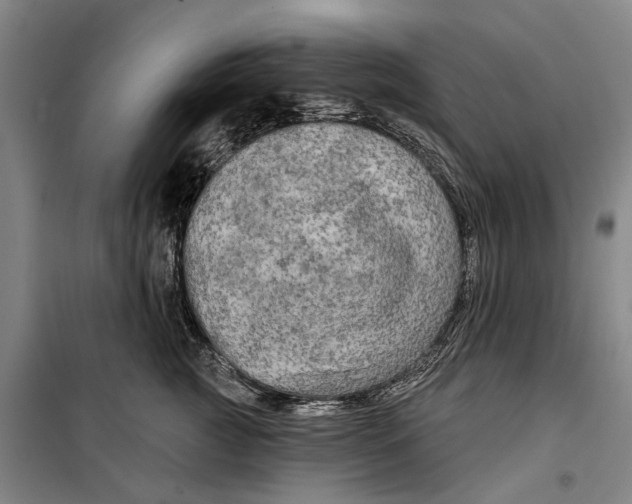 X0000099420761200805301407