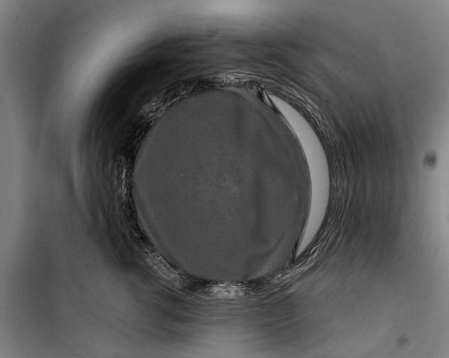 X0000099420762200805301407