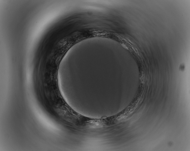 X0000099420763200805301407