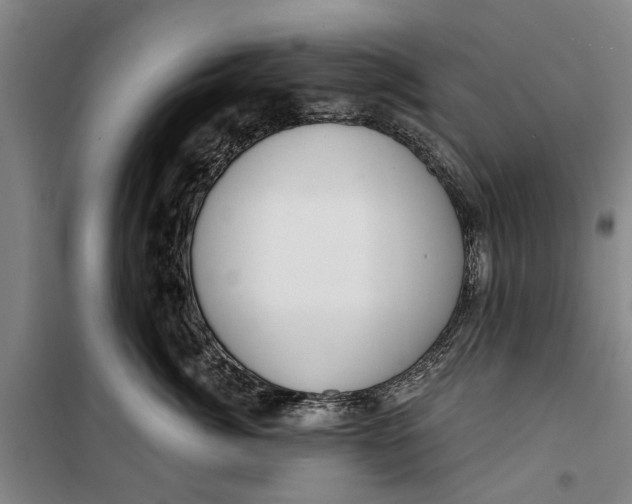 X0000099420764200805301407