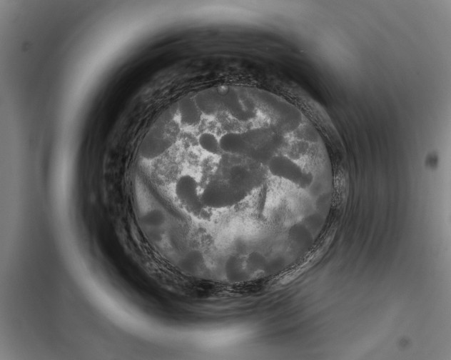 X0000099420765200805301407