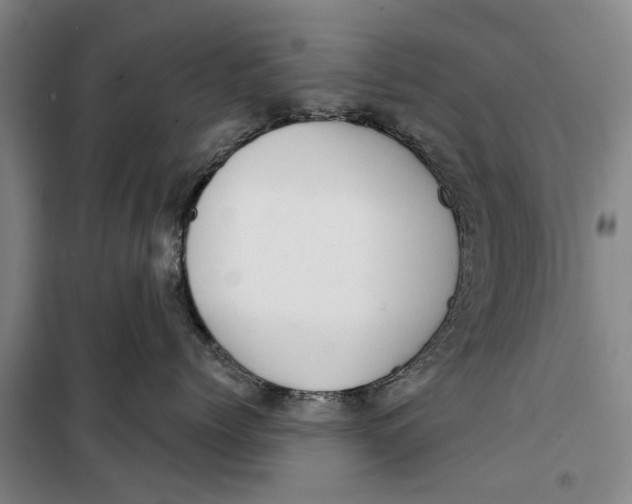 X0000099420768200805301407