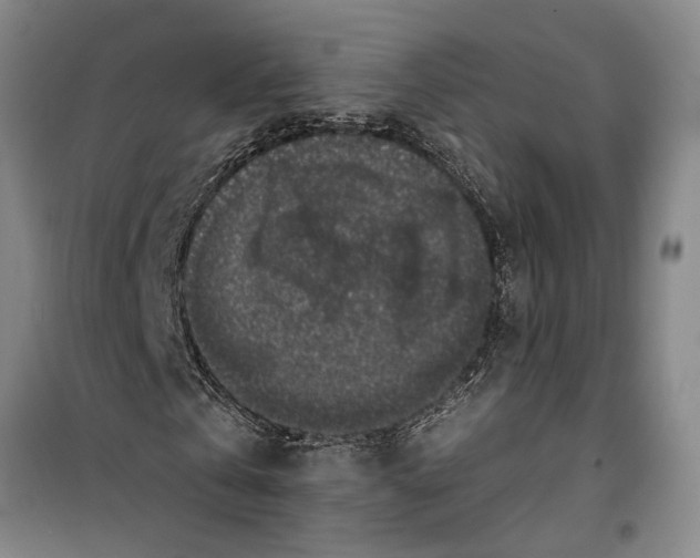 X0000099420769200805301406