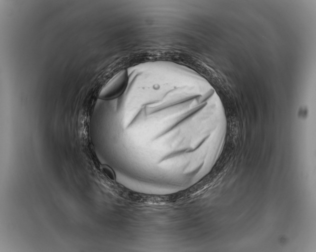 X0000099420770200805301406