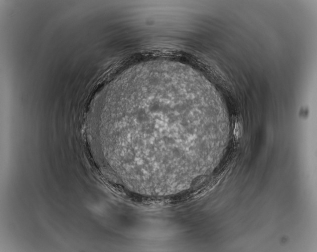 X0000099420771200805301406