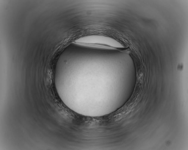 X0000099420772200805301406