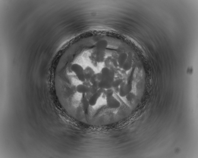 X0000099420775200805301406