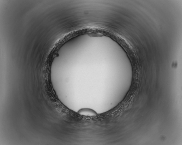 X0000099420776200805301406