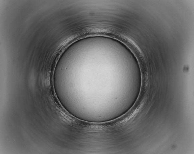 X0000099420777200805301406