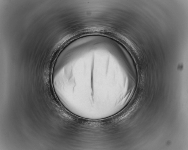 X0000099420778200805301406