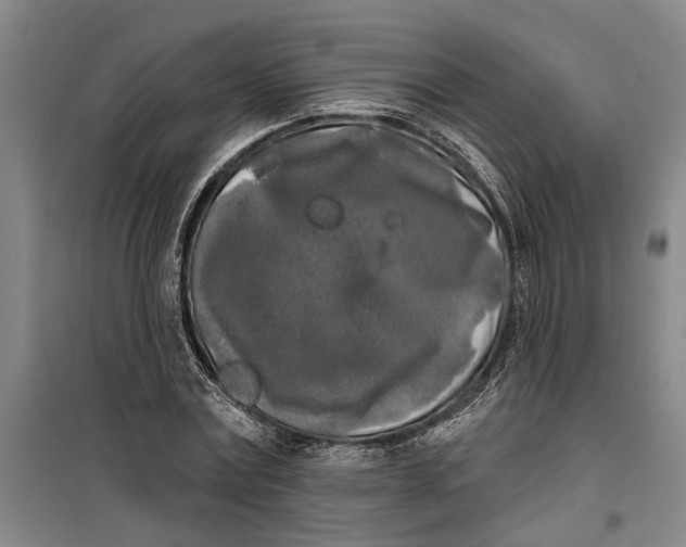 X0000099420779200805301406