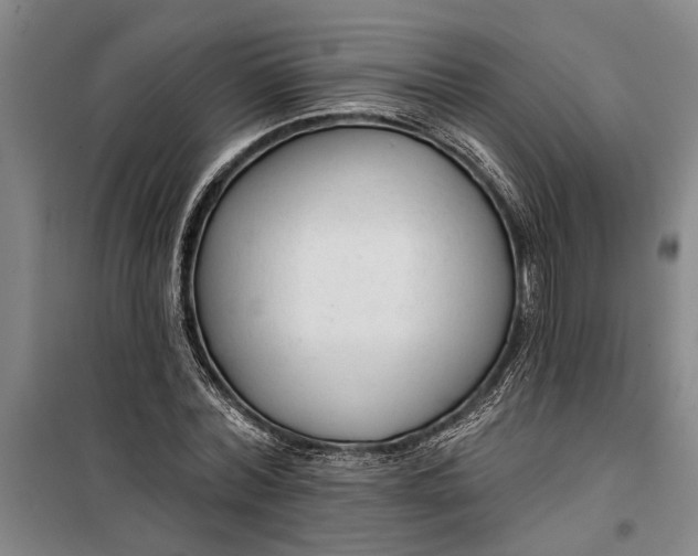 X0000099420780200805301406