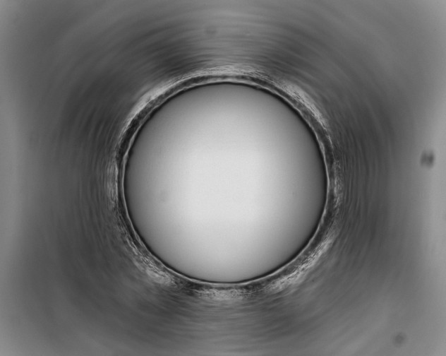 X0000099420781200805301406