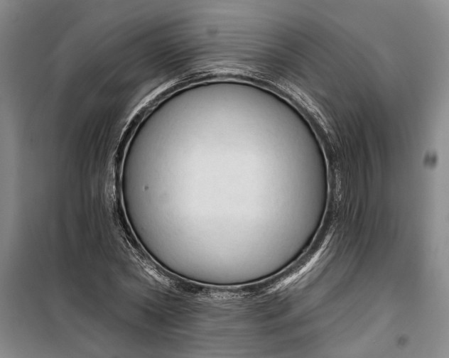 X0000099420782200805301406