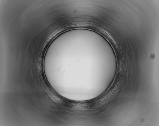 X0000099420786200805301406