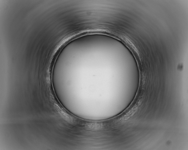 X0000099420789200805301406