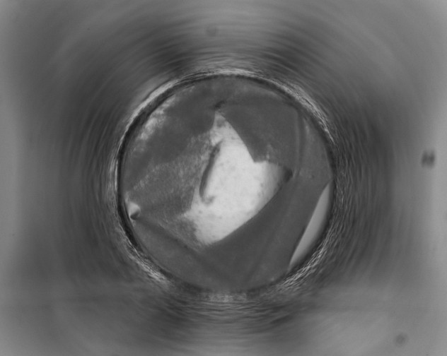 X0000099420790200805301406