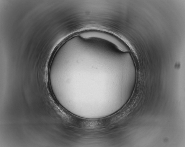 X0000099420791200805301406