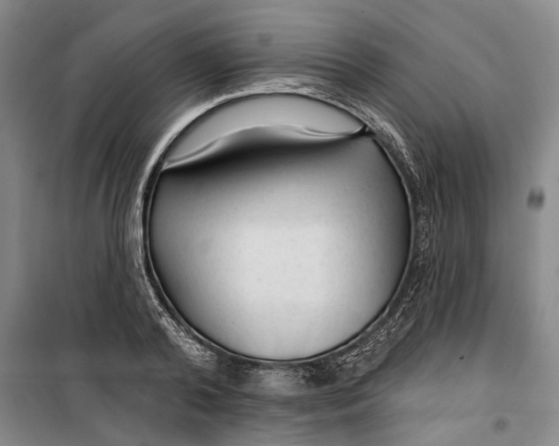 X0000099420792200805301406