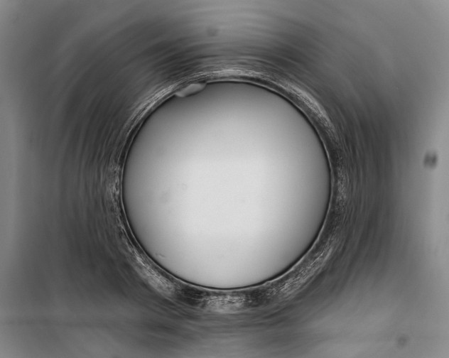 X0000099420793200805301406