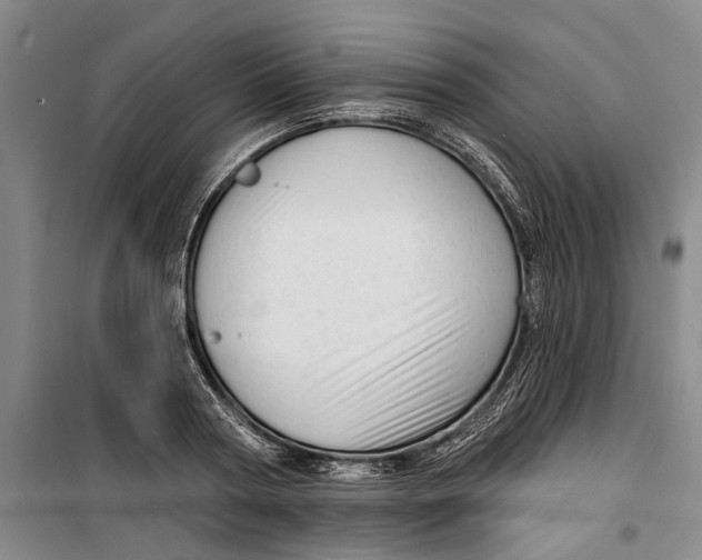 X0000099420794200805301406