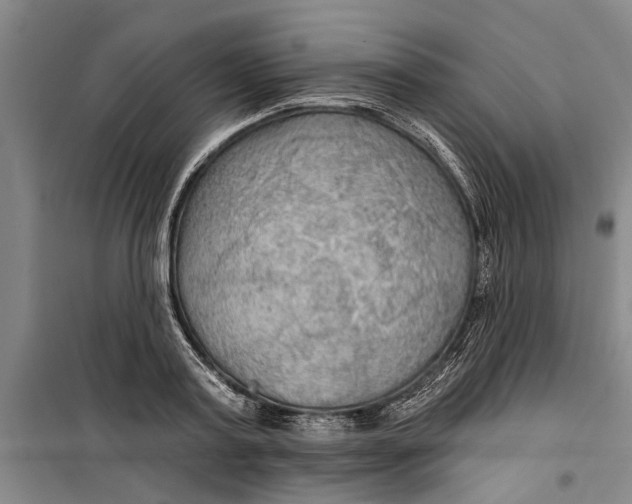 X0000099420795200805301406