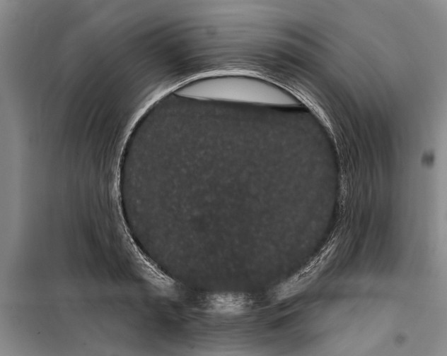 X0000099420797200805301406