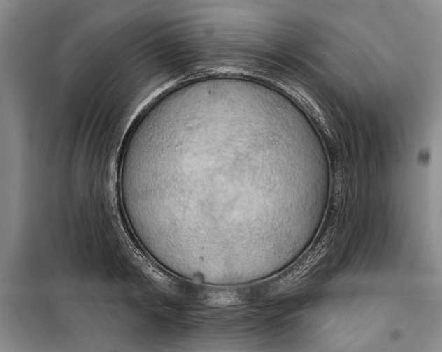 X0000099420798200805301406