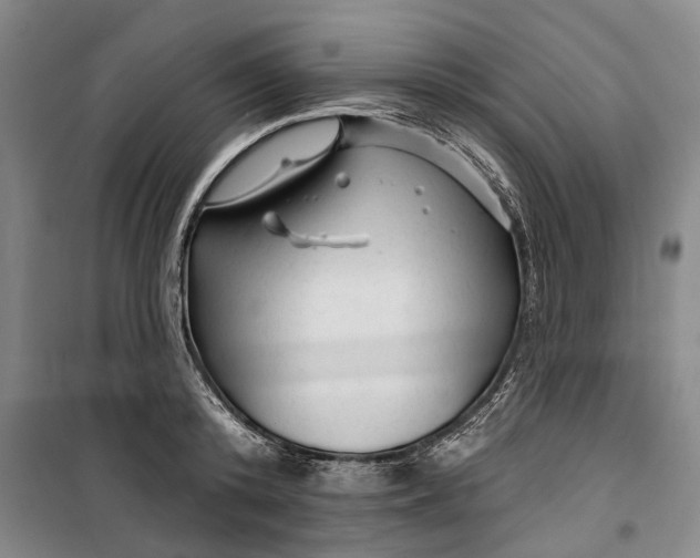 X0000099420800200805301406